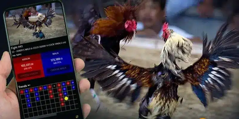 Cá Độ Đá Gà Online Và Những Điều Thú Vị Nhất 3 Đăng nhập vào website cá độ đá gà HI88