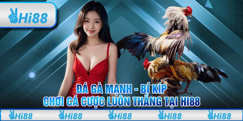 Đá gà mạnh - Bí kíp chơi cá cược luôn thắng tại hi88 1 Đá gà mạnh - Bí kíp chơi cá cược luôn thắng tại hi88