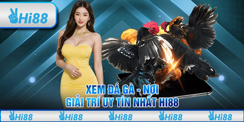 Xem đá gà - Nơi giải trí uy tín nhất Hi88