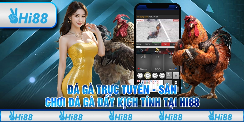 Đá gà trực tuyến - Sân chơi đá gà đầy kịch tính tại Hi88 1 Đá gà trực tuyến - Sân chơi đá gà đầy kịch tính tại Hi88