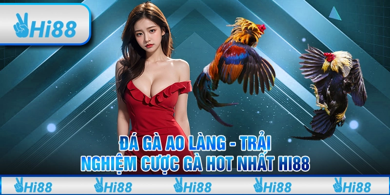 Đá gà ao làng - Trải nghiệm cược gà hot nhất hi88