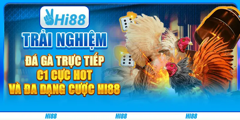 Trải nghiệm đá gà trực tiếp c1 cực hot và đa dạng cược hi88