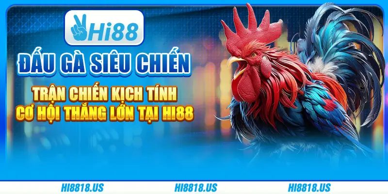 Đấu gà siêu chiến - trận chiến kịch tính, cơ hội thắng lớn tại hi88 1 Đấu gà siêu chiến - trận chiến kịch tính, cơ hội thắng lớn tại hi88