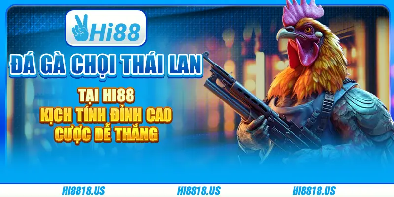 Đá gà chọi thái lan tại hi88 - kịch tính đỉnh cao, cược dễ thắng