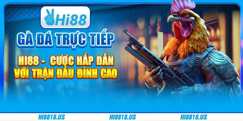 Gà Đá Trực Tiếp Hi88 - Cược Hấp Dẫn Với Trận Đấu Đỉnh Cao 1 Gà Đá Trực Tiếp Hi88 - Cược Hấp Dẫn Với Trận Đấu Đỉnh Cao