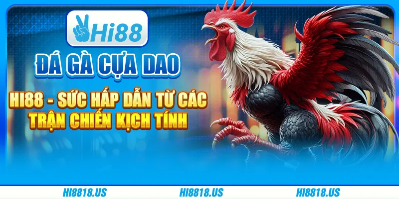 Đá Gà Cựa Dao Hi88 - Sức Hấp Dẫn Từ Các Trận Chiến Kịch Tính 1 Đá Gà Cựa Dao Hi88 - Sức Hấp Dẫn Từ Các Trận Chiến Kịch Tính