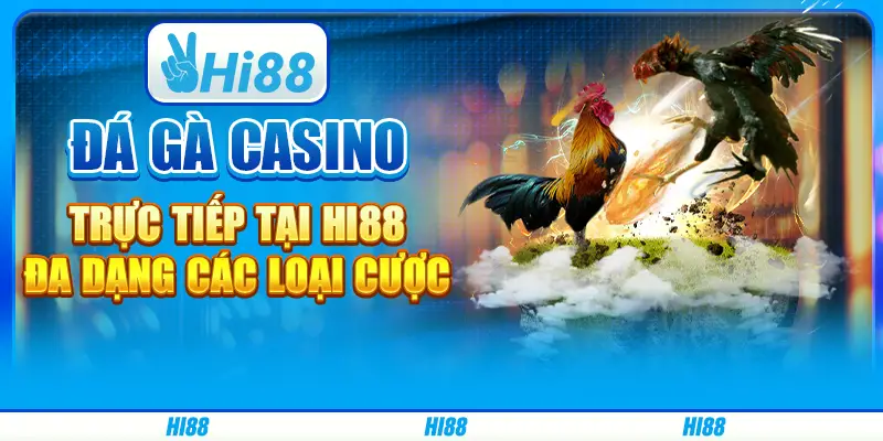 Đá gà casino trực tiếp tại hi88 - Đa dạng các loại cược 1 Đá gà casino trực tiếp tại hi88 - Đa dạng các loại cược