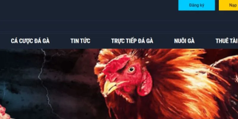 Thế giới đá gà trực tiếp casino vô cùng ấn tượng của hi88 2 HI88 cung cấp trải nghiệm đá gà trực tiếp casino với chất lượng tốt nhất.