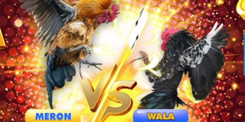 Thế giới đá gà trực tiếp casino vô cùng ấn tượng của hi88 3 Phân tích kỹ phong độ gà chiến để tăng cơ hội thắng.