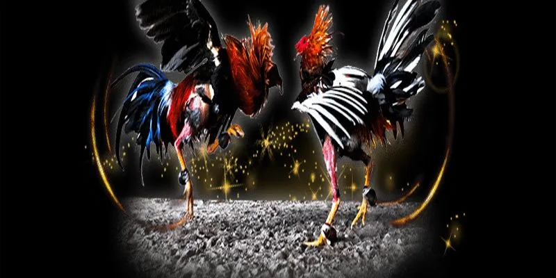 Thế giới đá gà trực tiếp casino vô cùng ấn tượng của hi88 4 Theo dõi sát diễn biến trận đấu để đưa ra quyết định đúng đắn.