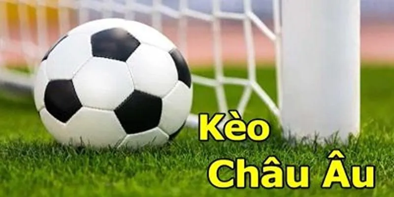 Kèo Châu Âu - Hiểu Hơn Về Đặt Kèo Chuẩn Xác Tại Hi88 4 Nền tảng hàng đầu cung cấp dịch vụ cá cược kèo