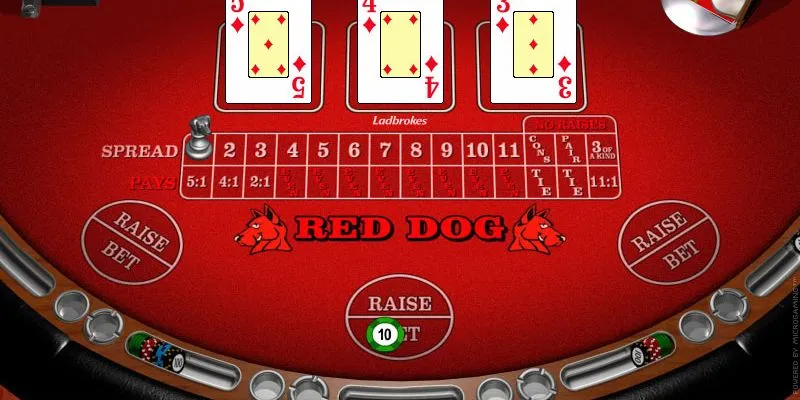 Quy tắc cơ bản trong red dog poker