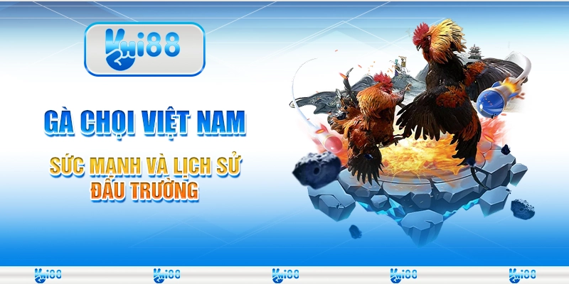 Gà Chọi Việt Nam - Sức Mạnh Và Lịch Sử Đấu Trường