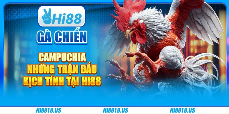 Gà Chiến Campuchia - Những Trận Đấu Kịch Tính Tại Hi88