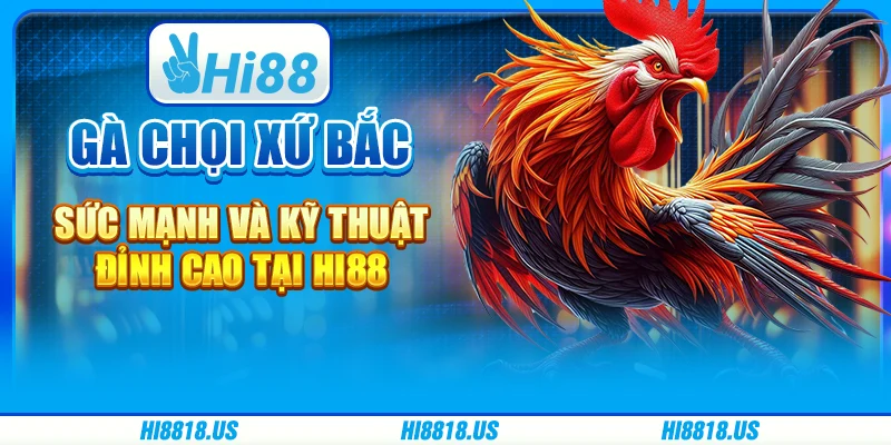 Gà Chọi Xứ Bắc - Sức Mạnh Và Kỹ Thuật Đỉnh Cao Tại Hi88 1 Gà Chọi Xứ Bắc - Sức Mạnh Và Kỹ Thuật Đỉnh Cao Tại Hi88