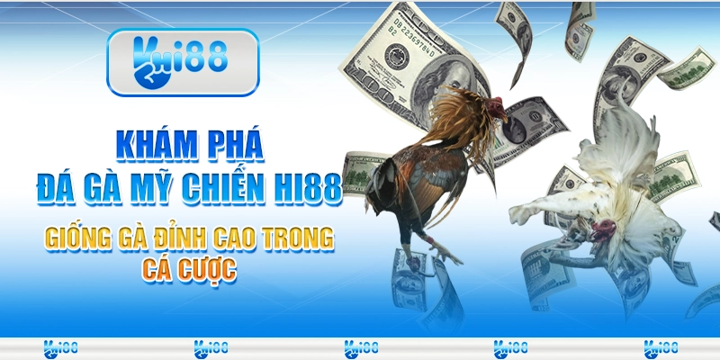 Khám Phá Đá Gà Mỹ Chiến Hi88 - Giống Gà Đỉnh Cao Trong Cá Cược