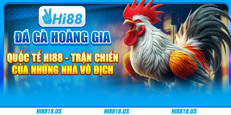 Đá Gà Hoàng Gia Quốc Tế Hi88 - Trận Chiến Của Những Nhà Vô Địch