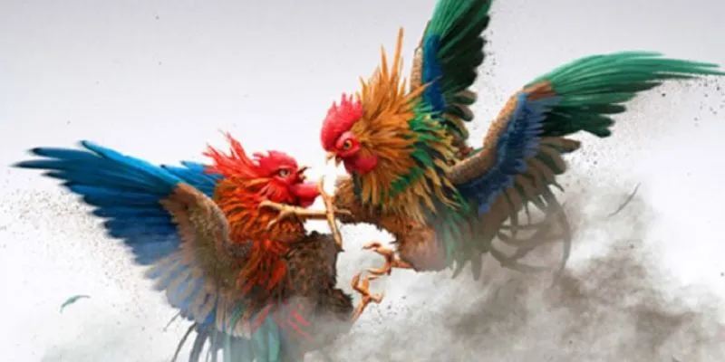 Gà Chọi Xứ Bắc - Sức Mạnh Và Kỹ Thuật Đỉnh Cao Tại Hi88 4 Phân tích phong độ chiến kê giúp đặt cược chính xác