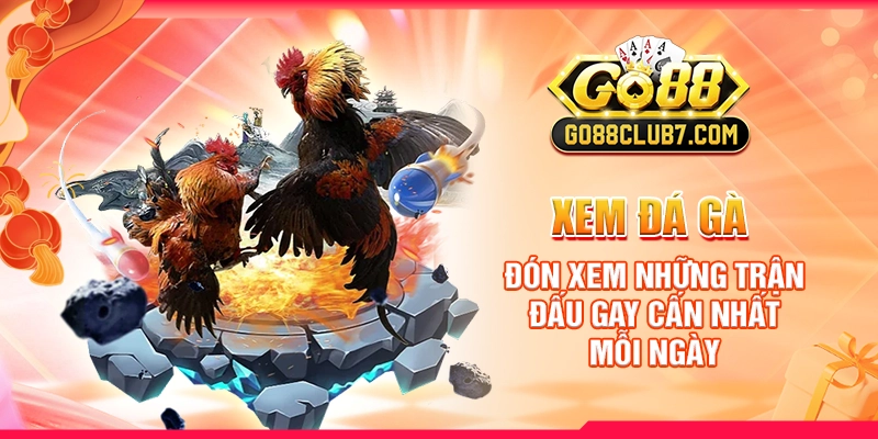 xem-da-ga-don-xem-nhung-tran-dau-gay-can-nhat-moi-ngay