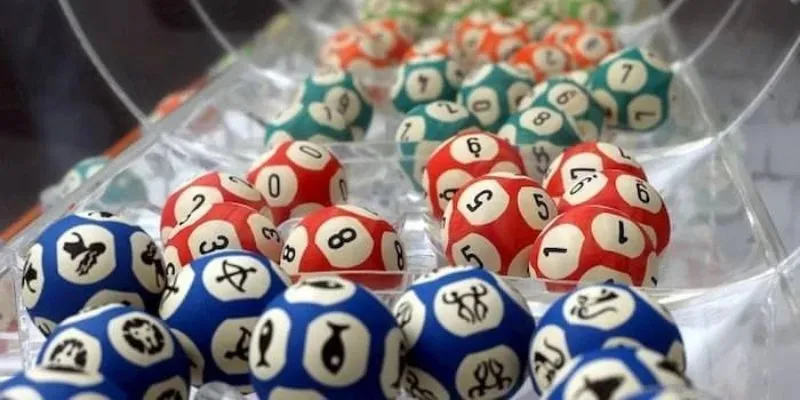 Câu chuyện thành công từ El Gordo.