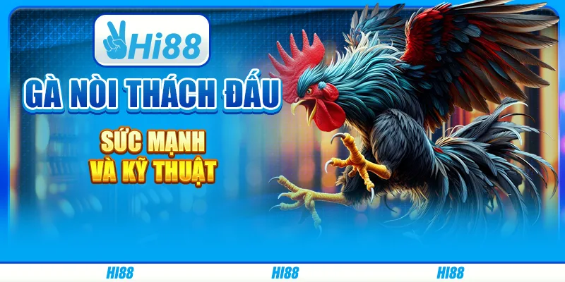 Gà nòi thách đấu - sức mạnh và kỹ thuật từ Hi88