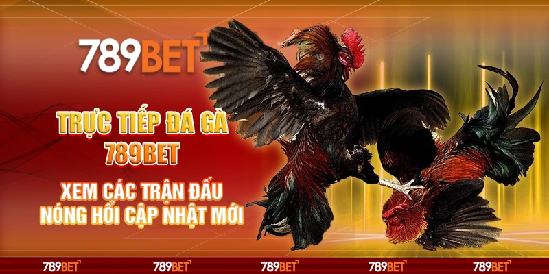 Trực Tiếp Đá Gà - Xem Các Trận Đấu Nóng Hổi Cập Nhật Mới 1 25 truc tiep da ga 789bet xem cac tran dau nong hoi cap nhat moi
