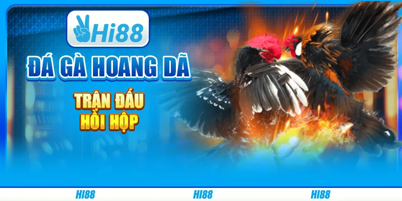 Đá gà hoang dã - trận đấu hồi hộp trên hi88