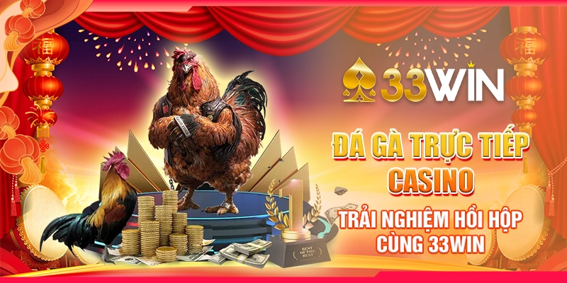 Đá Gà Trực Tiếp Casino - Trải Nghiệm Hồi Hộp Cùng 33WIN