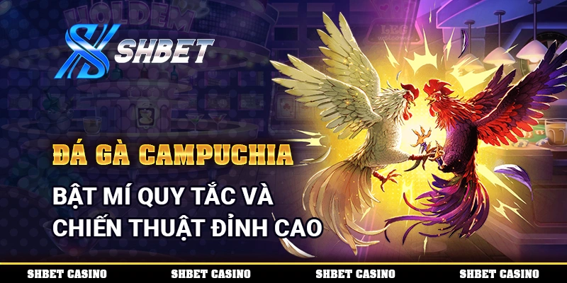 Đá Gà Campuchia - Bật Mí Quy Tắc Và Chiến Thuật Đỉnh Cao 1 Đá Gà Campuchia